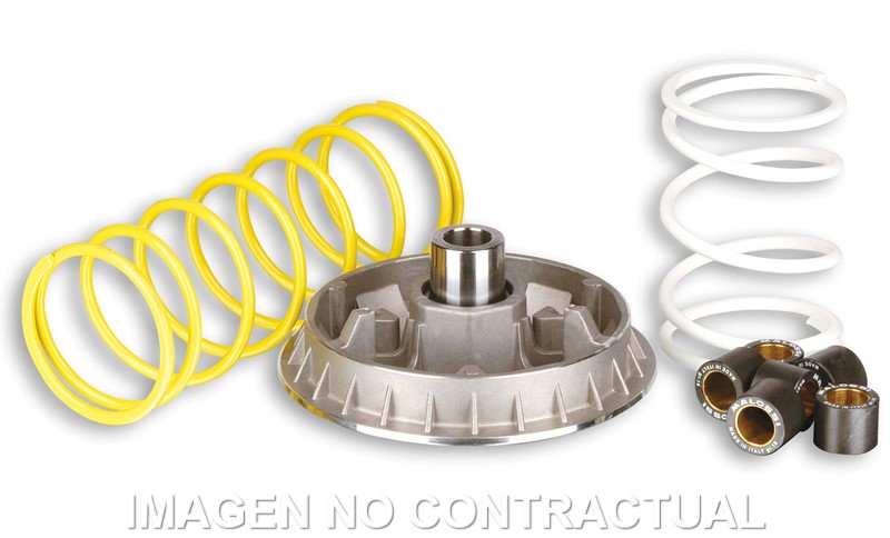 [5111226] Variador Malossi Multivar 2000 Foresight 250